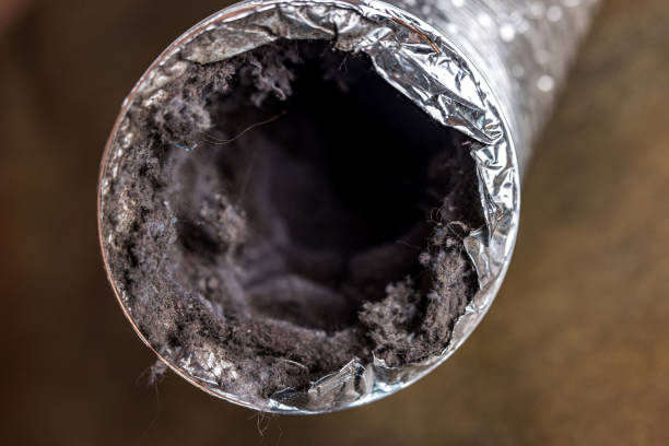 Best Affordable Air Duct Cleaning  in , VT